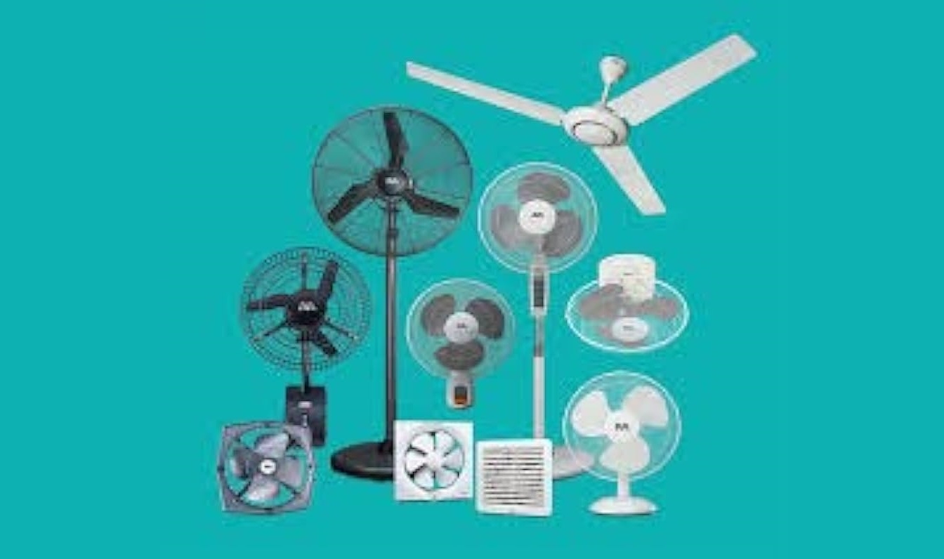 Fans